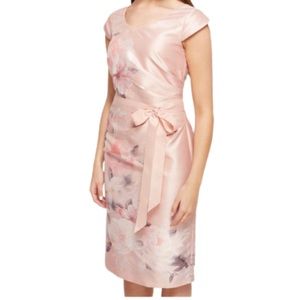 Jacques Vert Dusty Rose Dress